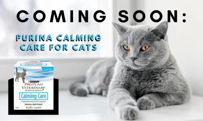 Calming Care For Cats