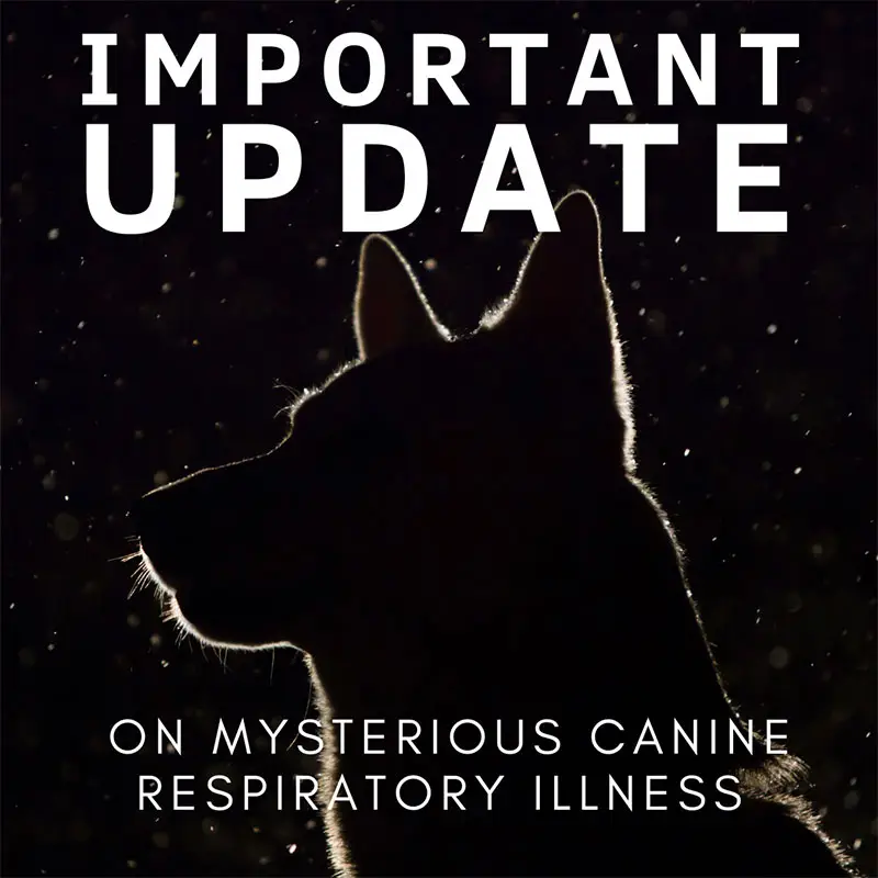 Mysterious-Illness-Image