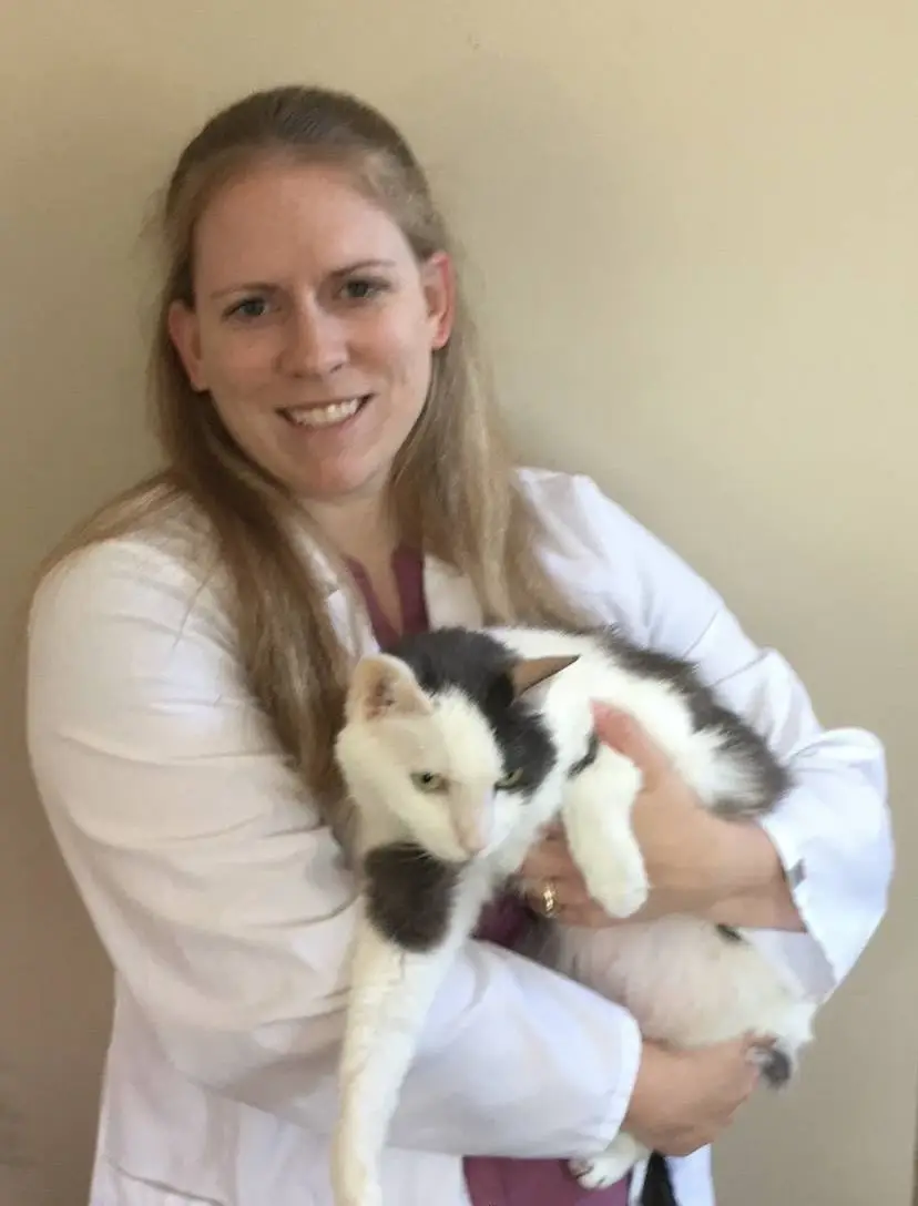 Dr. Michelle Easter of Eldersburg Veterinary Hospital.