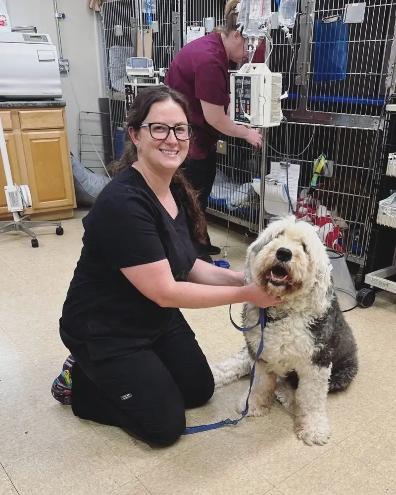 Veterinary Assistant Kelsey of Big Lick Veterinary Services in Roanoke, VA