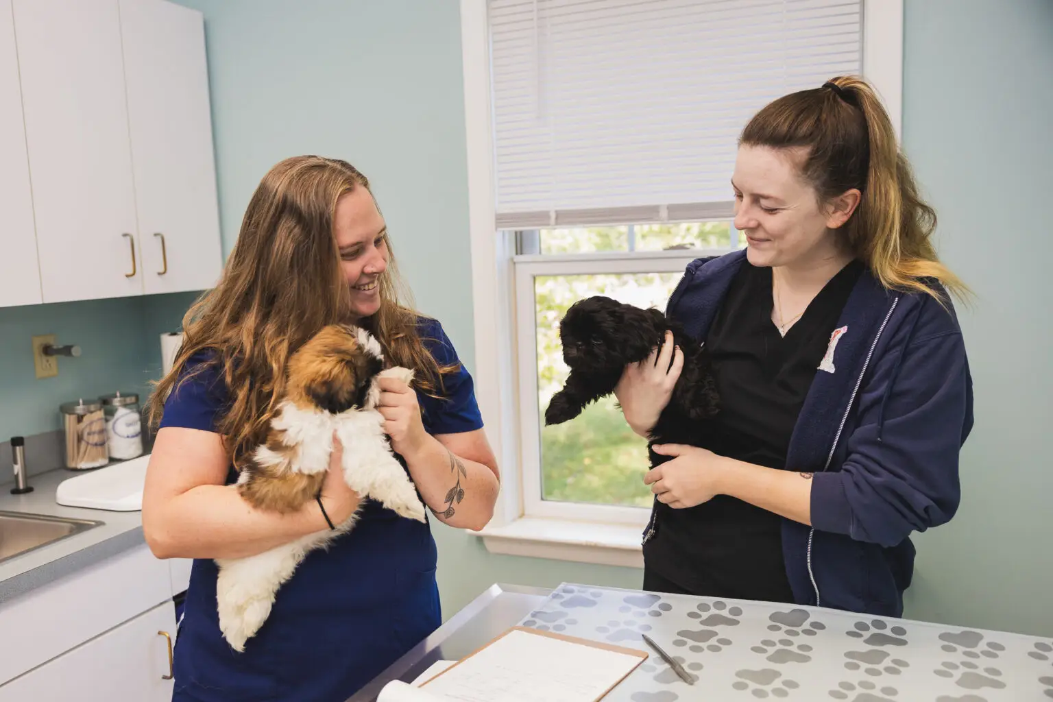 Veterinary staff cuddle puppies at Eldersburg Veterinary Hospital.